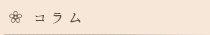 コラム